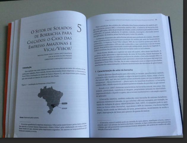 LANÇAMENTO DE LIVRO – ECONOMIA DAS ORGANIZAÇÕES: FORMAS PLURAIS E DESAFIOS