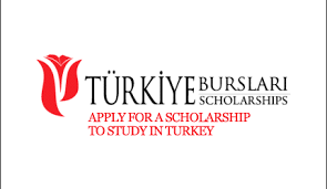 Programa “Türkiye Scholarships 2016” está com inscrições abertas para licenciatura